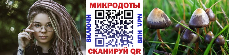 Псилоцибиновые грибы Magic Shrooms  Таганрог 